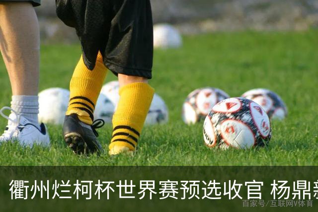 衢州烂柯杯世界赛预选收官 杨鼎新连笑晋级本赛